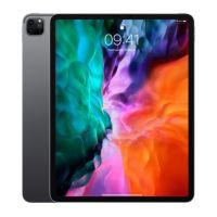 12.9-inch iPad Pro Wi?Fi 256GB - Space Grey