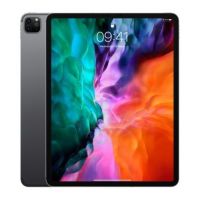 12.9-inch iPad Pro Wi?Fi + Cellular 256GB - Space Grey