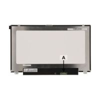 DELL LCD Display 12,5 Inch HDF