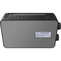 RF-D30BTEG - Tragbar - Digital - FM - 2 W - 1-Weg - 10 cm