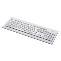 Fujitsu KB521 CH keyboard USB Grey