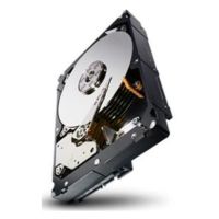 Seagate 1TB Constellation ES 3,5" SATA-600 7.2K 64MB