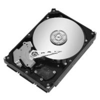 Seagate NL35.1 Serie ST3400832NS 400 GB 88,9mm 24/7 Refurbished