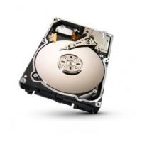 Seagate Constellation.2 2.5" 1000 GB SAS