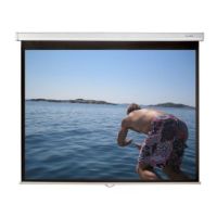 Sapphire AV SWS200B projection screen 3.02 m (119") 1:1