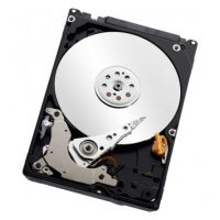 Western Digital Scorpio Blue 160GB 2.5" Serial ATA II