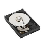 Western Digital WD 250GB 7.2K 3.5 HDD