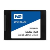 Blue PC SSD BNCE2500PNC - 250 GB SSD - intern - 2.5" (6.4 cm)