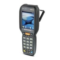 Datalogic FALCON X4 EOC 2D CC BATTERY RNWL